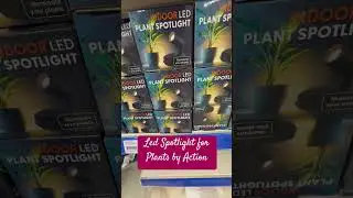 LED Indoor Plants Spotlight #led #indoorplants #plantcare #houseplants  #plantlover #action #home