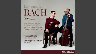 Viola da Gamba Sonata in G Minor, BWV 1029: I. Vivace