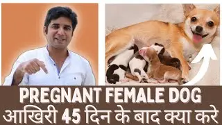 Pregnancy care after 45 days of pregnancy ||pregnancy terminal stage care||supplement, medicine