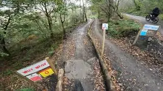 BPW - Willy Waver top to bottom including the red branch