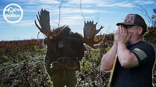 Mastering the Moose Call - Guide Tips