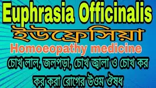 Euphrasia Officinalis homoeopathy medicine, uses and benefits,চোখ লাল, জলপড়া ও জ্বালা নিবারণে উওম।
