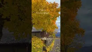 Beautiful Autumn in Switzerland | Peaceful Moments in Nature #swissscenery #nature #switzerland