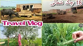 Bhalwal City || Travel Vlog بھلوال شہر