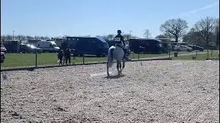 Hudson Dressage