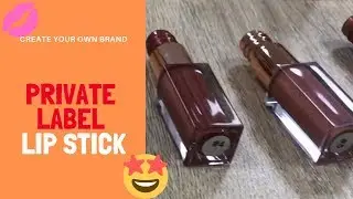 Private Label Cosmetics Line Lipstick (6 Colors)
