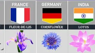 National Flower of the Countries | AS Data Comparison |