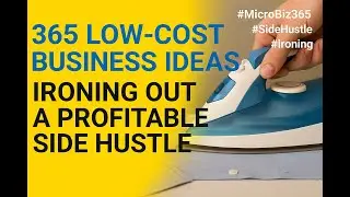 365 Low-Cost Business Ideas: Ironing Out a Profitable Side Hustle