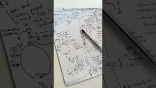 Наука о ВИЧ-медицине &mdash; лекция для аспирантов, часть 3, д-р П. Муленга, врач-акушер-консультант.