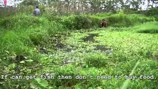 Disabled Vietnamese Dad works hard to support his family