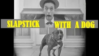 Slapstick clip | Slapstick with a dog