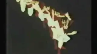 Judo Boy - g&eacute;n&eacute;rique