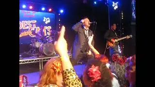 Lou Cifer & The Hellions @ The  Wildest Cats in Town ...6/7/2024