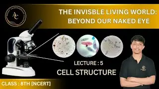 The Invisible Living World Beyond Our Naked Eye | Cell Structure | Class 8 Science Chapter 2