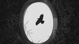 The mirror 