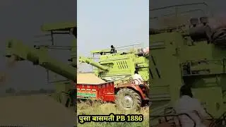पूसा बासमती pb 1886
