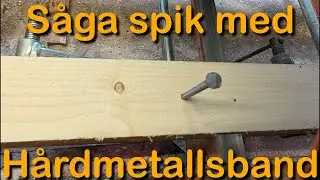 S&aring;ga spik med h&aring;rdmetallsband (Woodmizer s&aring;gar spik)