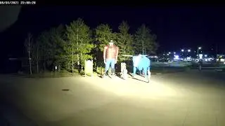 Bemidji Police Release Video of Paul Bunyan Arm Damage