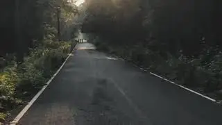 gairkata forest