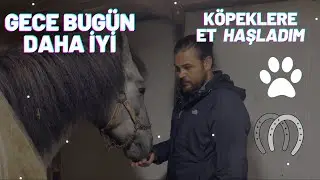 GECE VE BARON , KAROLİN , TARÇIN MUTLU BENDE MUTLU