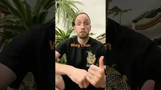 Online Wing Chun Training Manual review #wingchunonline #wingchun #robleyacademy #ipman