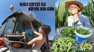 TOHUMLUK MISIRDAN ELLE DAMLAMA TOPLADIK-FİDANLARIMIZI SULADIK-5710 VE PICKUPA TEMİZLİK-SEMAVER ÇAYI