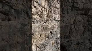 Uno dei passaggi pi&ugrave; belli della ferrata delle Bocchette Centrali #dolomiti #bocchette #viaferrata