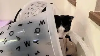 How did you enter that?