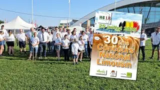 Concours National Limousin Libramont 2025