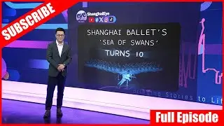 Shanghai Ballet's 'Sea of Swans' Turns 10