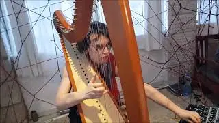 'A Lead'  An Installation - Performance by  Adaya Godlevsky
