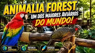 Mergulhei no Maior Avi&aacute;rio do Mundo! Aventura Inesquec&iacute;vel no Anim&aacute;lia Park