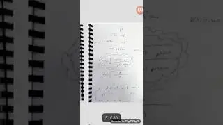 اهتزازات(3)نيوتن الثاني