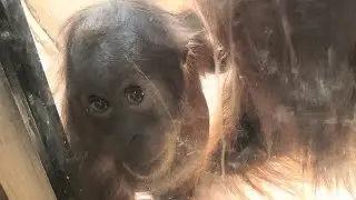 Chester Zoo - Our Day Out - 16th April 2017