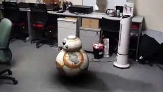 BB8 in My Office Now!!!
