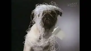 2000s TV Commercial Compilation #39 | (2001)