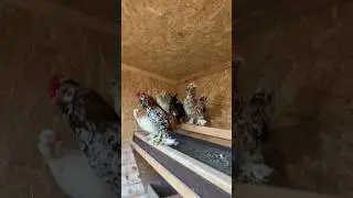 POULTRY FARMING LAW