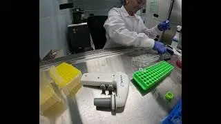 Cell Seeding