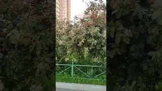 5 августа 2023 г.