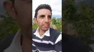 vive la kabylie ind&eacute;pendante