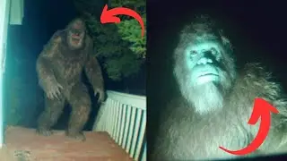 Bigfoot Caught On a CCTV Trying To Get Into The House - The Terrifying Cabin Encounter