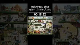 200 Piece Speed Puzzle Timelapse