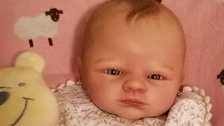 Open Eyed Reborn Dolls 👀 Moby by Marissa May. (Personal Collection)