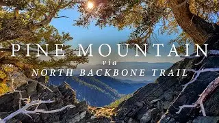 Pine Mountain (via North Backbone Trail) - 4K Hike