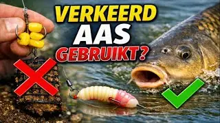 De 15-Minuten Vloek: De ECHTE reden waarom je niks meer vangt