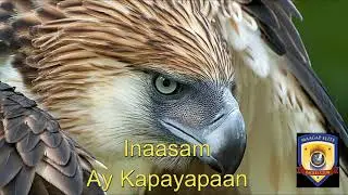 TFOE - PE Hymn by Maagap Elite Eagles Club