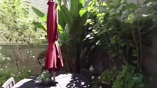SoMa: Stylishly Remodeled 2 or 3 Bedroom Flat w/ Sunny Shared Yard