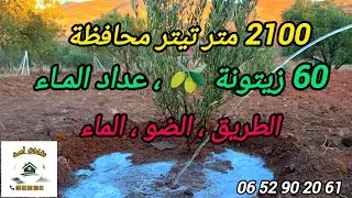 ⛔✅تم البيع⛔✅أرض محافظة ، 60 زيتونة 🫒 طريق كودرون ، عداد الماء ، السياج ، ب14 مليون ونصف . 0652902061