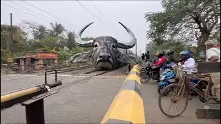 DANGEROUS Buffalo😱Headed Teesta Torsa Express Furiously Crossing at Railgate Seen 