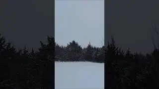 ❄️🌨 #beautiful #outdoors #winter #snow #relaxing #farmlife #happiness #happy #nature #positivity